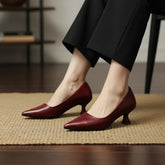 Pointed Toe Low Heel Court Shoes for Women